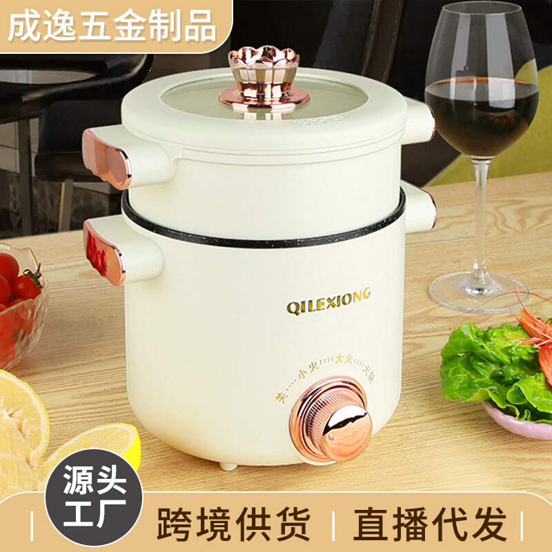 电煮锅煎炸蒸煮一体锅小型家用学生宿舍迷你火锅家用小火锅电煮锅