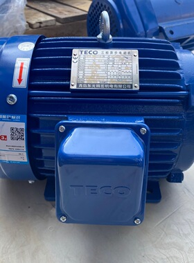 东元电机TEF3 100L1-4 AEMB3N