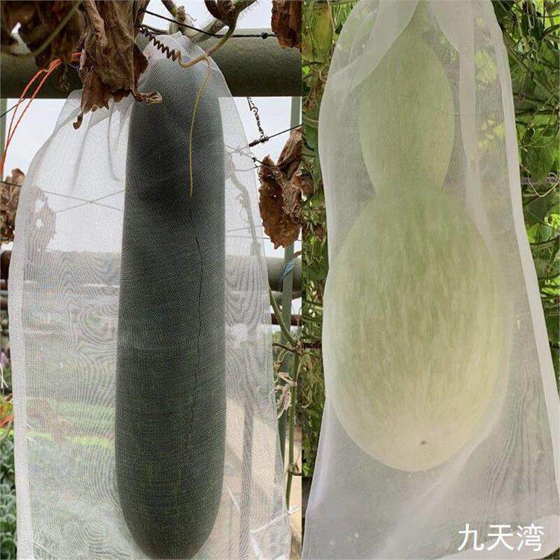 热销冬瓜套袋南瓜西瓜防虫网袋尼龙葡萄防鸟袋水果桃子丝瓜菠萝蜜