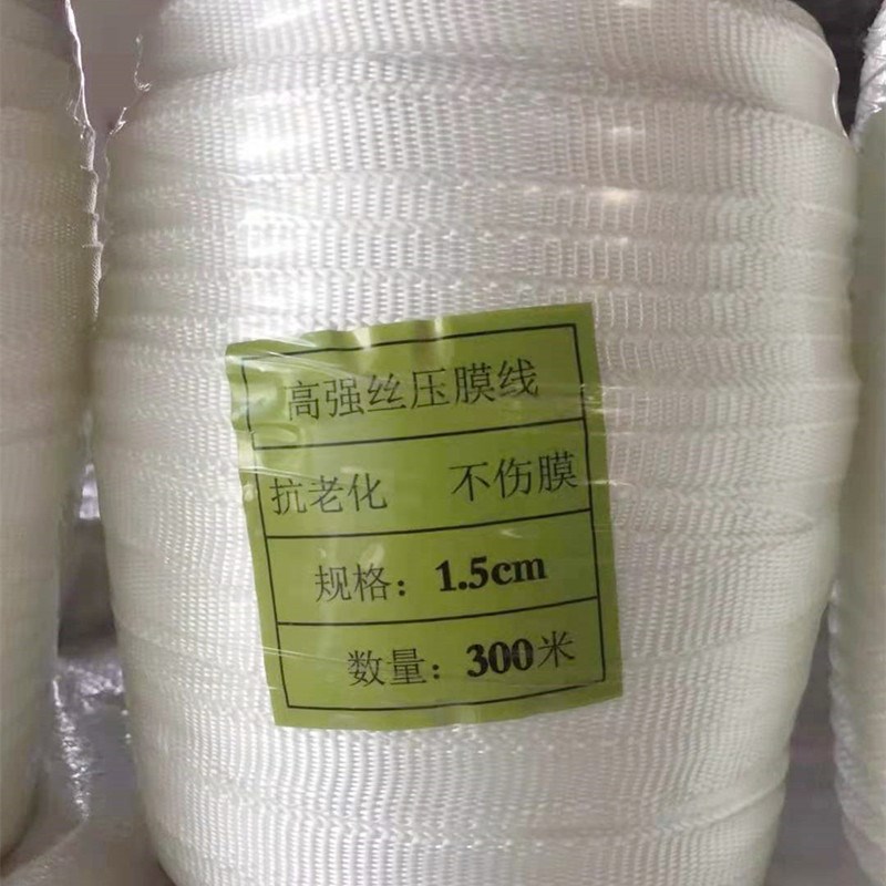 热销绳子捆绑绳耐磨捆绑带大棚压膜绳压膜带白色尼龙绳宽绳子扁带