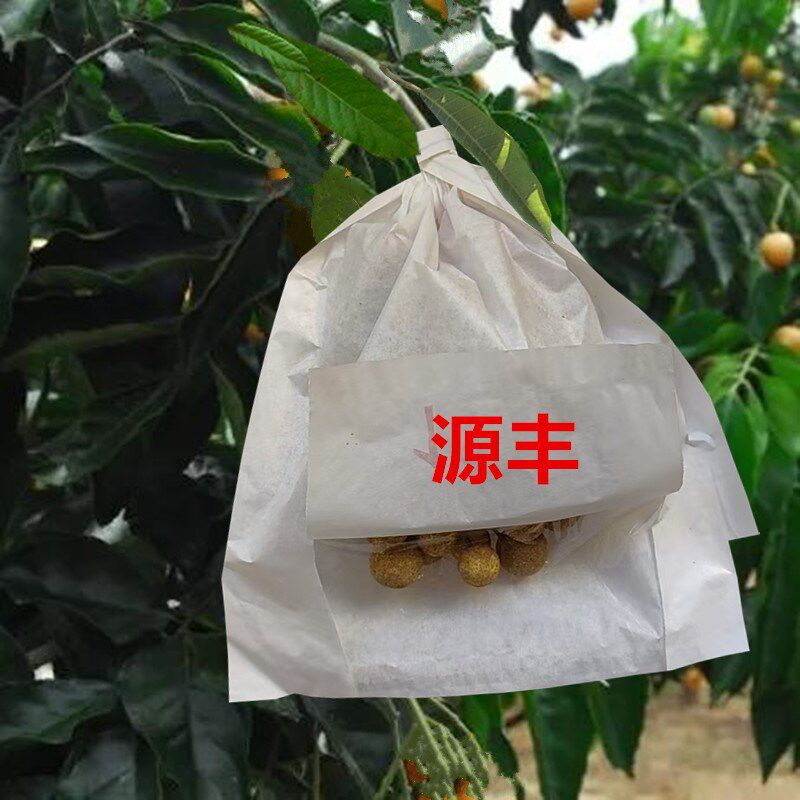 热销侧开门包荔枝套袋专用袋黄皮蓝莓龙眼纸袋杨梅妃子笑水果袋子