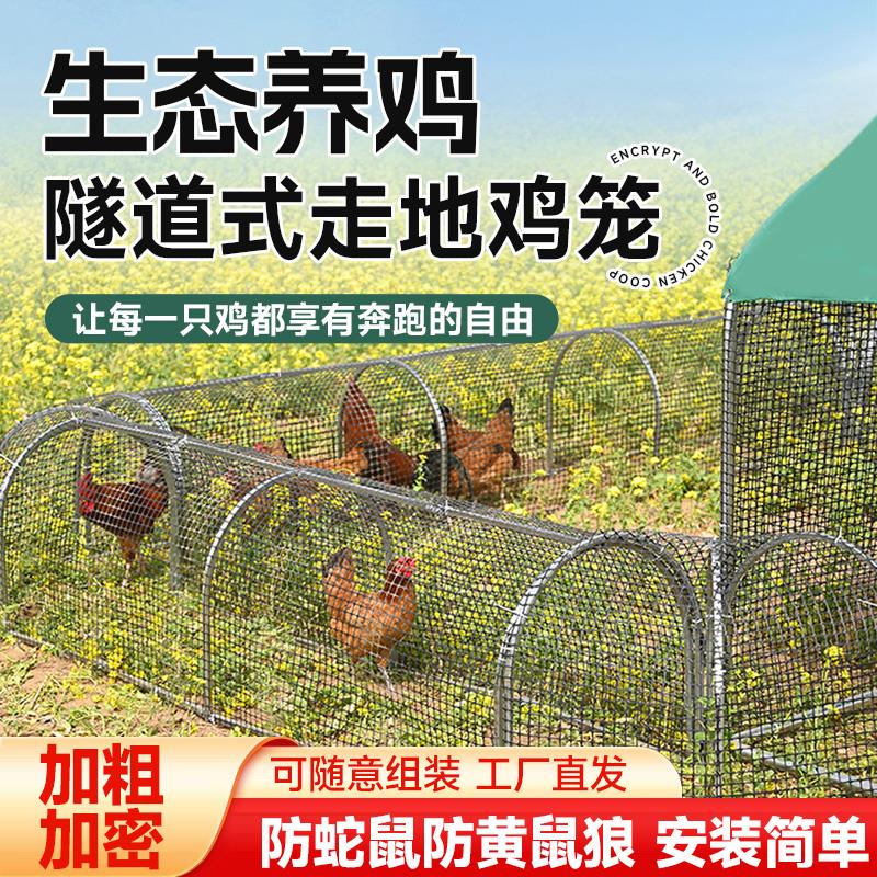 鸡笼子家用室外大号跑道走地鸡舍铁丝网围栏旧货市场养殖场专用笼