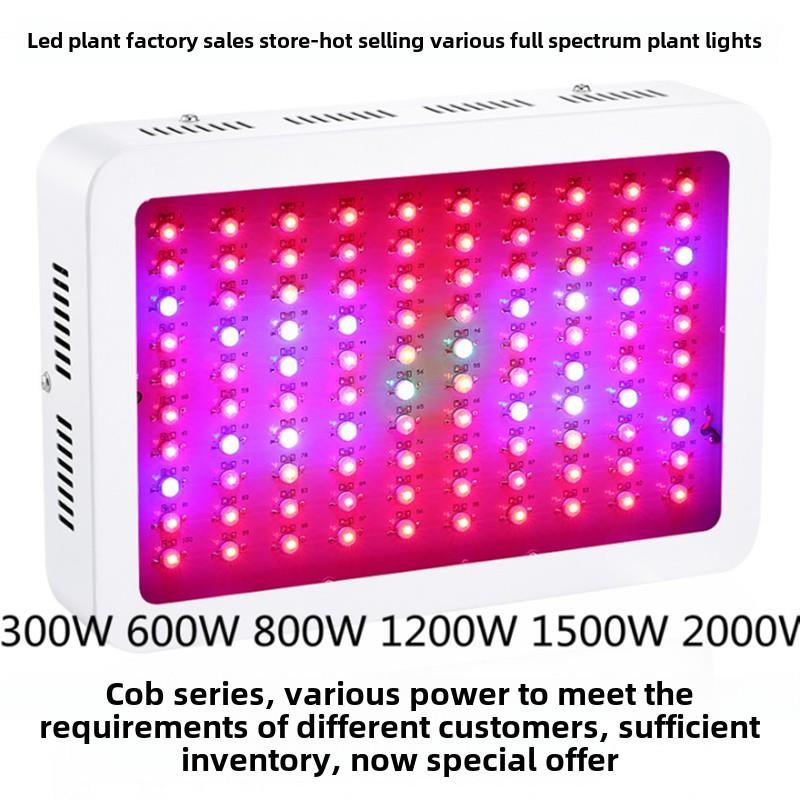 双控定时1000W Led植物生长灯冬虫夏草花蔬菜幼苗组织栽培多肉补