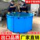 帆布鱼池圆形折叠养鱼池锦鲤水箱大型养殖水池游泳塑料支架暂养池
