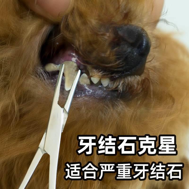 宠物用品钳子狗狗牙结石去除器口腔除臭去牙结石洁牙神器工具泰迪