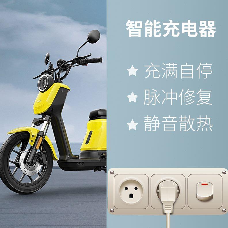 小海豚电动车铅酸充电器老年代步车24V/36/48v2A3A4A锂电池充电器