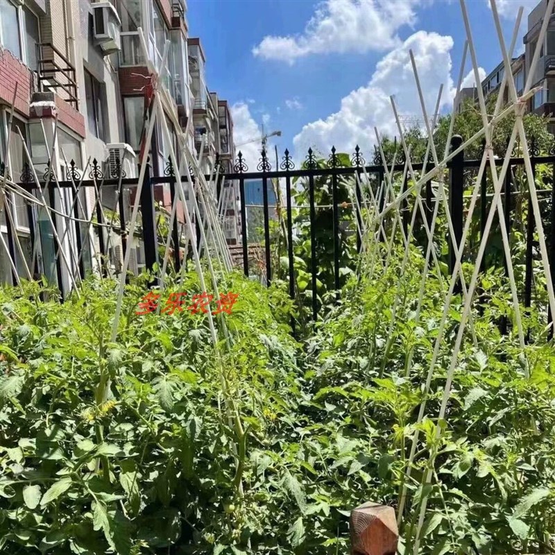 热销玻璃纤维辣椒苗定直支撑杆防倒伏支架西红柿种植架番茄子园艺
