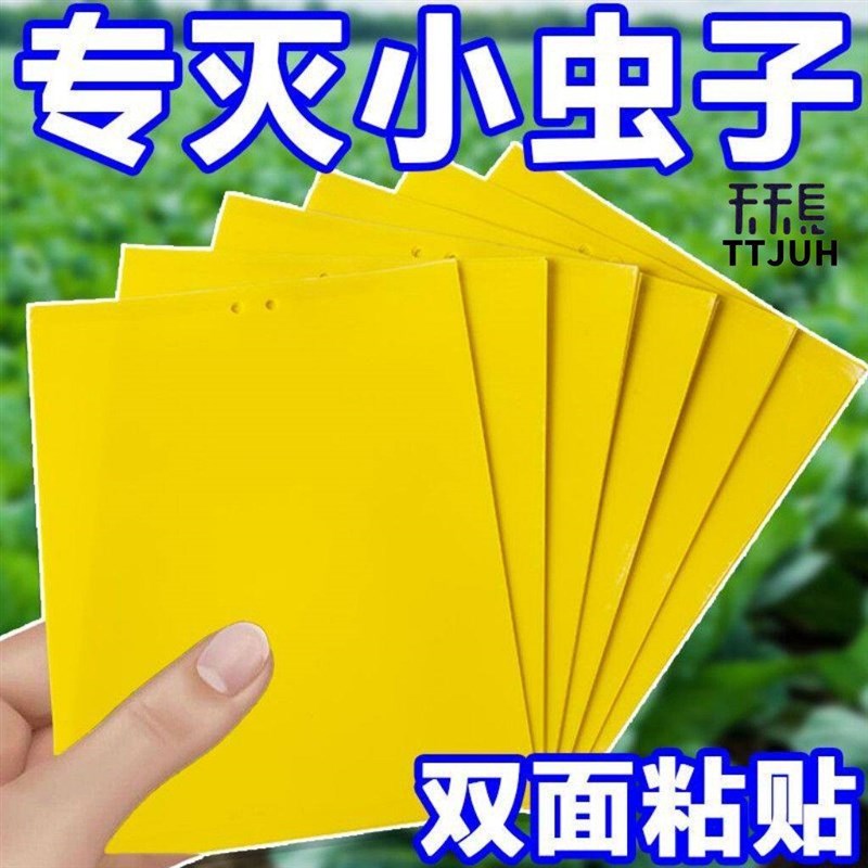 热销天天见双面粘虫板果蝇诱虫板菜地驱虫神器驱蚊蝇针蜂粘蚊板灭