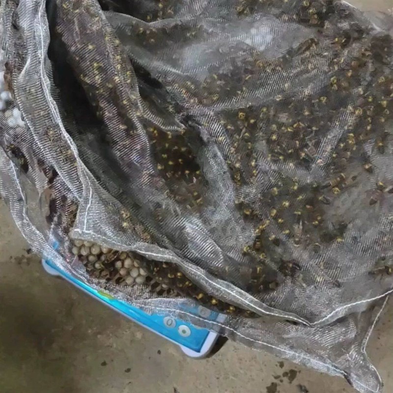 热销新款马蜂袋加大加厚不锈钢网袋收蜂袋收蜂笼透气套胡蜂网袋专