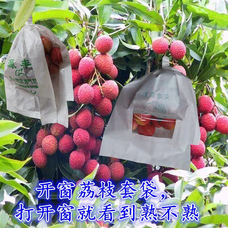 热销黄皮果套袋龙眼果袋防鸟防虫保护袋荔枝石榴桃子水果套袋松花