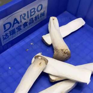 W果蔬切半机器大产量蔬菜加工产线 农产品开半机器商用机全不锈钢