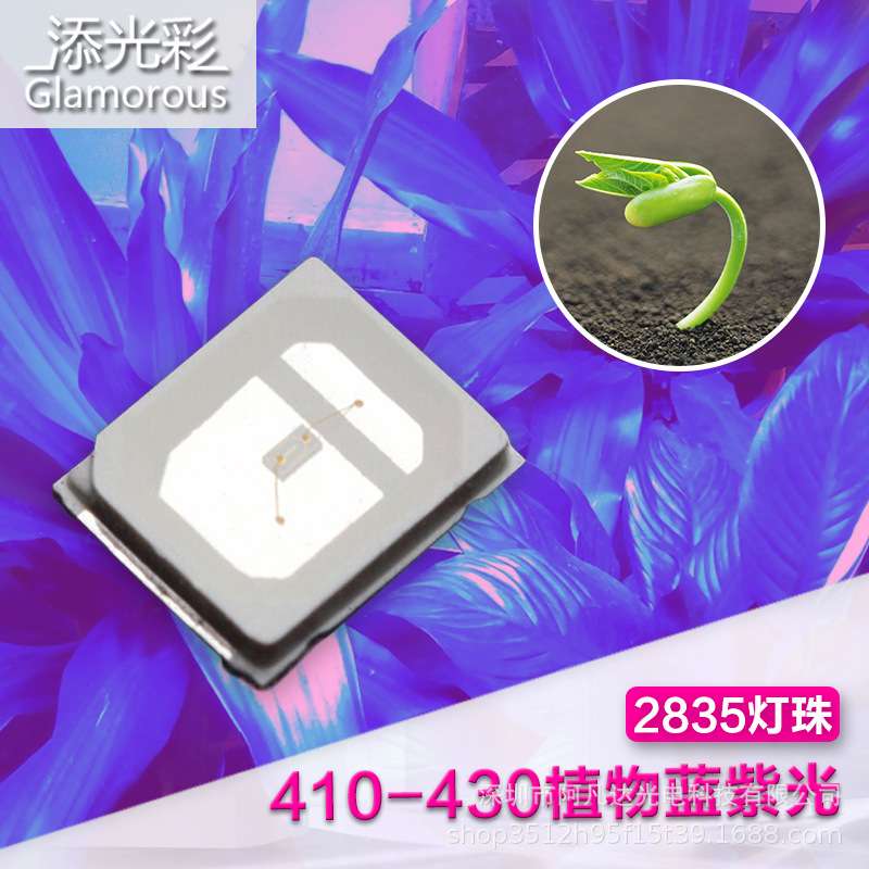 2835灭蚊灯珠 0.2w紫光灯珠LED贴片2835UV紫光灯珠植物灯珠