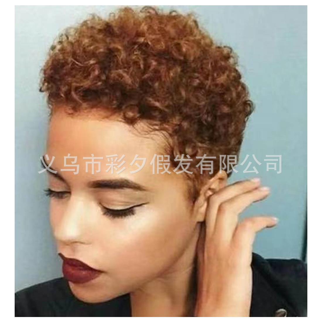直销新款欧美外贸假发 爆炸小卷假头发 非洲女士短发棕色假发头套