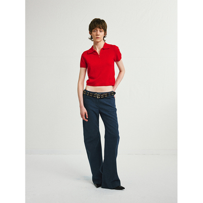 antenna effect秋新款羊毛短袖polo衫翻领拉链针织上衣