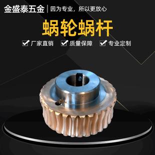直銷新款 供應(yīng)青銅齒輪蝸輪蝸桿銅蝸輪減速機(jī)蝸輪馬達(dá)齒輪小齒輪