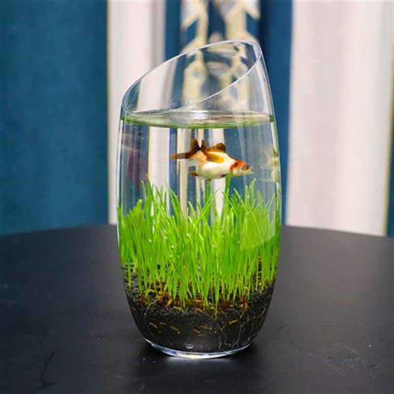 热销水培植物玻璃生态鱼缸绿萝花盆办公桌面加厚大号鱼缸透明器皿