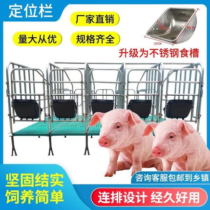 母猪地面猪用限位栏养猪场设备加厚地面围栏猪圈漏粪板设备