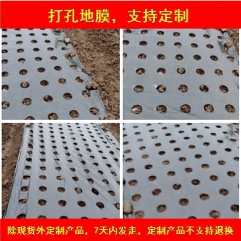 热销打孔地膜农用种植防草菜地玉米地钻孔带孔薄膜黑膜银黑地膜免