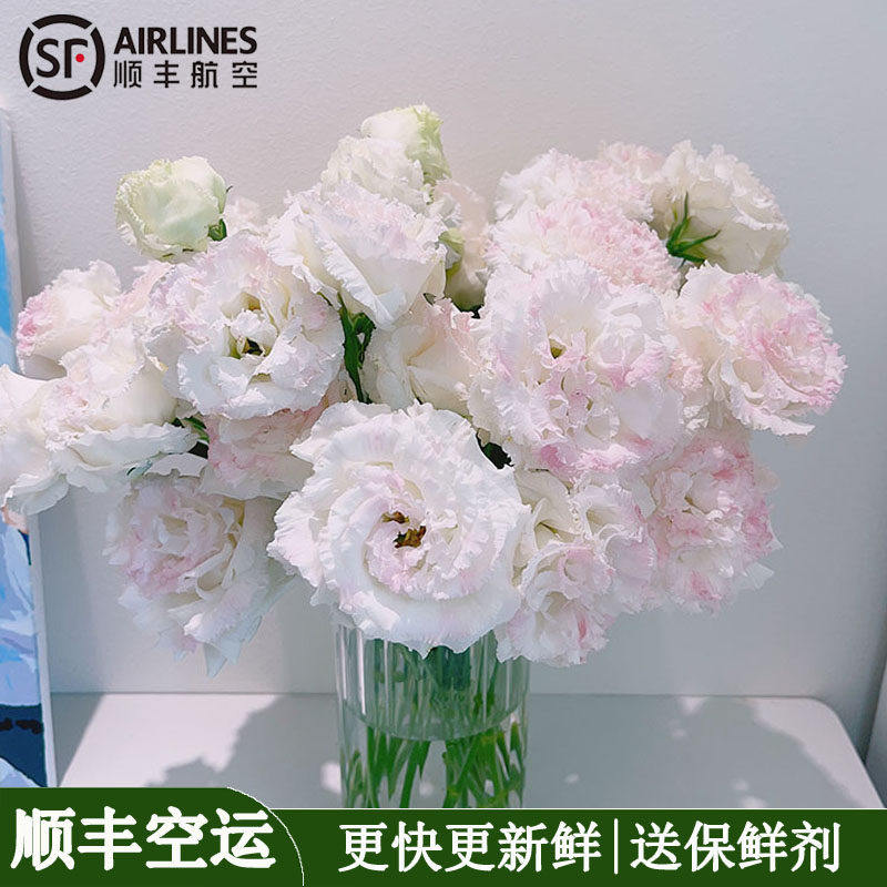 A级洋桔梗鲜花云南基地直发龙胆花居家水养插花玫瑰百合顺丰包邮