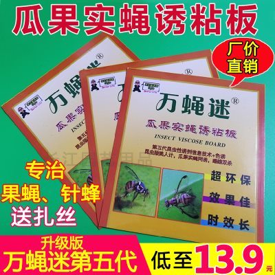 万蝇迷果实蝇粘胶板针蜂贴瓜实蝇贴农用粘虫板果园果蝇贴包邮防水