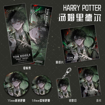 哈利波特汤姆里德尔钥匙扣镭射票吧唧小卡明信片福袋礼包周边套装