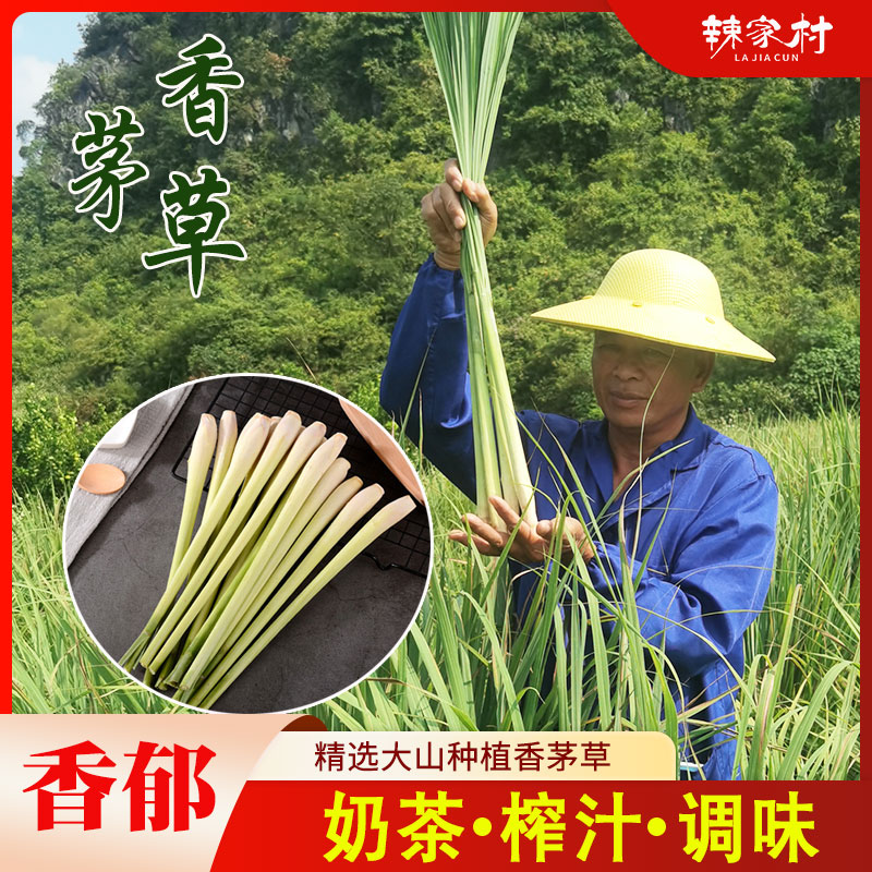 新鲜香茅草深山种植奶茶店原料