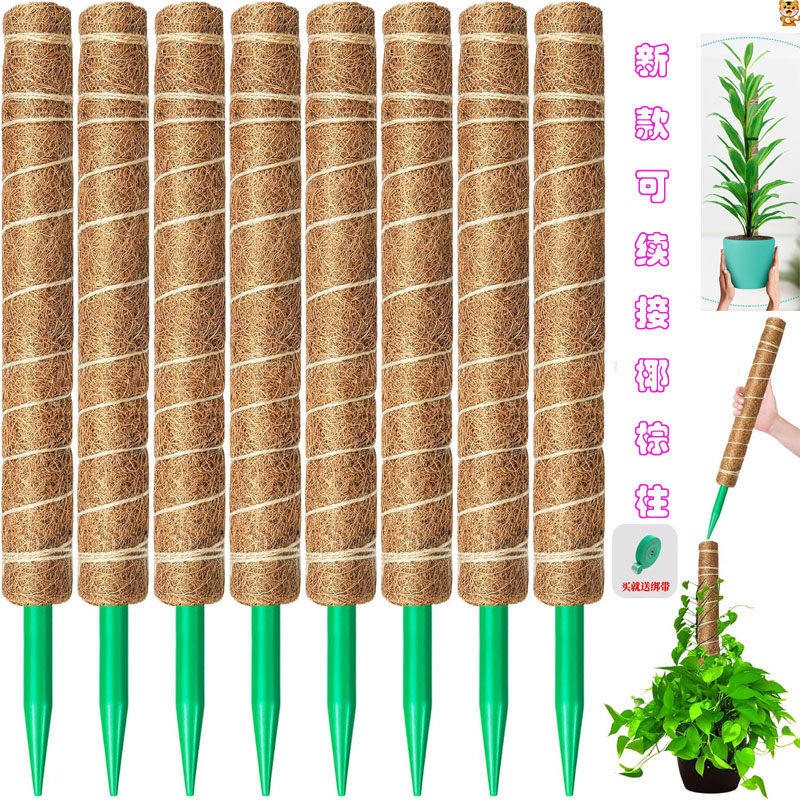 植物攀爬椰棕支撑杆绿萝龟背竹