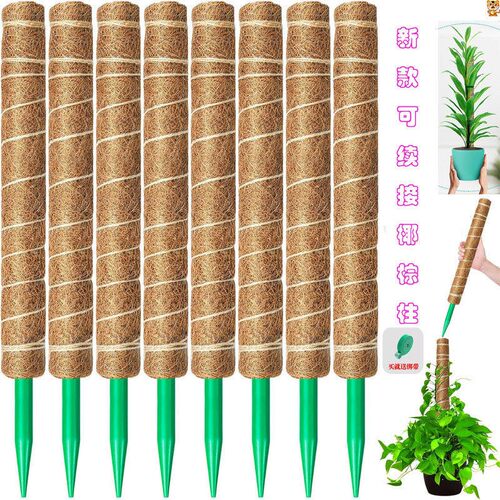 植物攀爬椰棕支撑杆绿萝龟背竹