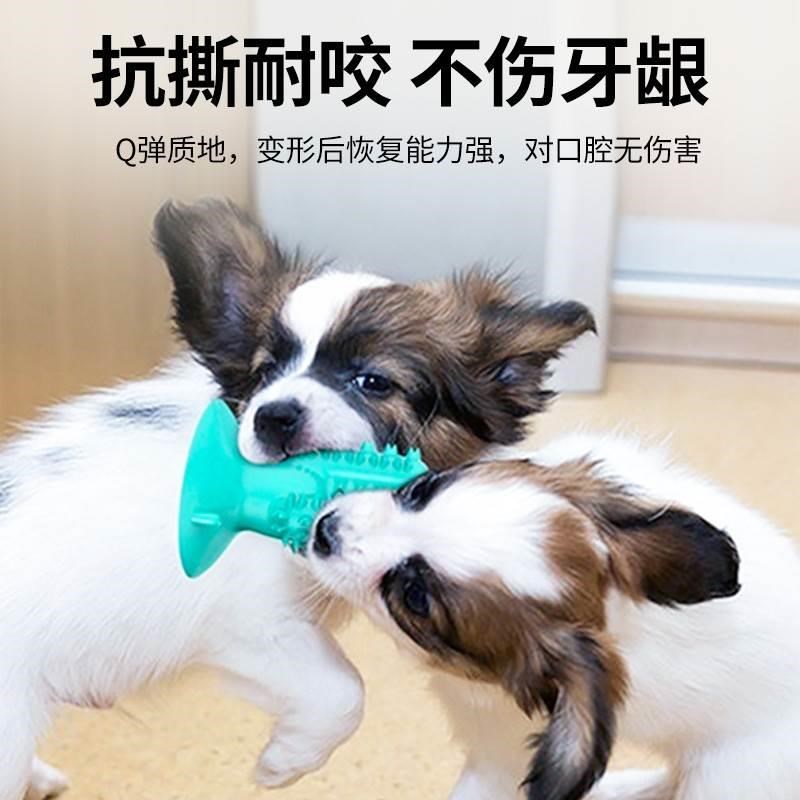 狗狗耐咬磨牙棒大型犬幼犬小狗边牧金毛牙刷刷牙神器宠物玩具用品