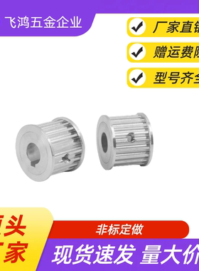 同步带轮HTPA55S3M060-A-P8/10/12/12.7/14/15/16/17/18/19/20/22