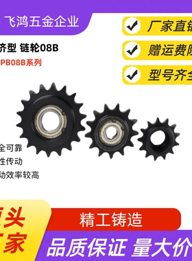 链轮08B C-SPB08B19-N-19/20/22/25/30 C-SPB08B19-N-22 C-SPB08B