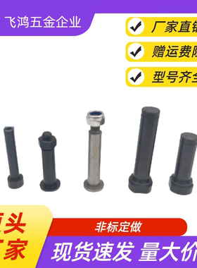 内螺纹带肩铰链销 MIP01 11-D6  D8 D10 D12 D15-L15 L20 L25 L30