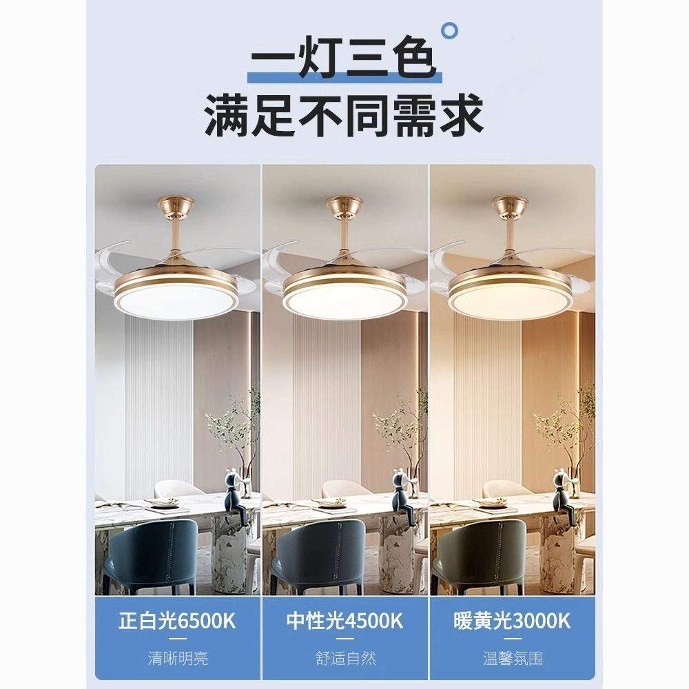 全光谱护眼风扇灯 静音餐厅隐形一体家用现代简约LED智能吊扇灯