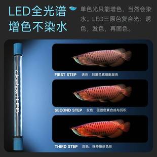 彻鱼缸灯ed防水族箱水灯龙鱼灯管鱼缸朗专用增草艳防溅水潜水YSHl