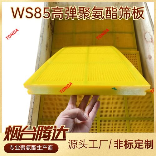 聚氨酯筛板MDI矿用振动筛筛板高耐磨柔性WS85高弹性筛板