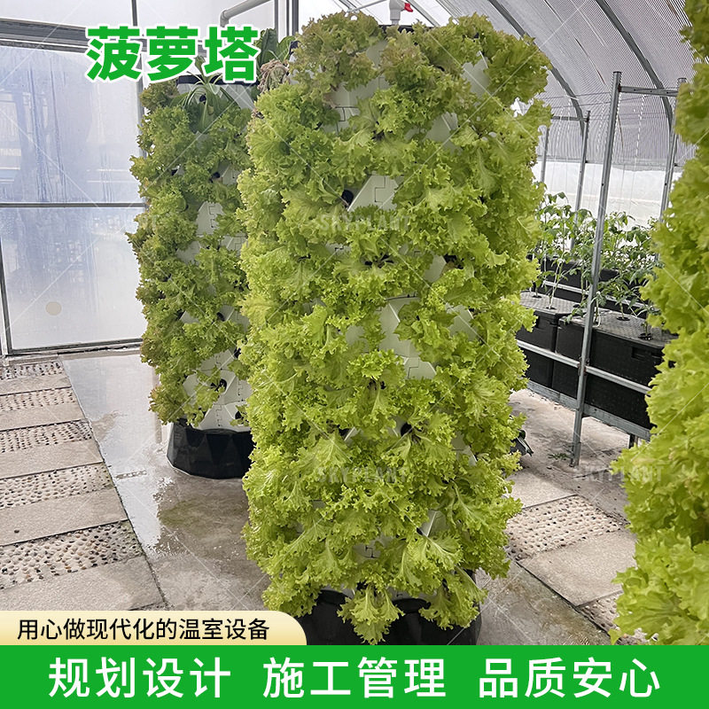 立式无土栽培水培菠萝塔气雾栽培模式无土栽培蔬菜草莓雾培种植塔