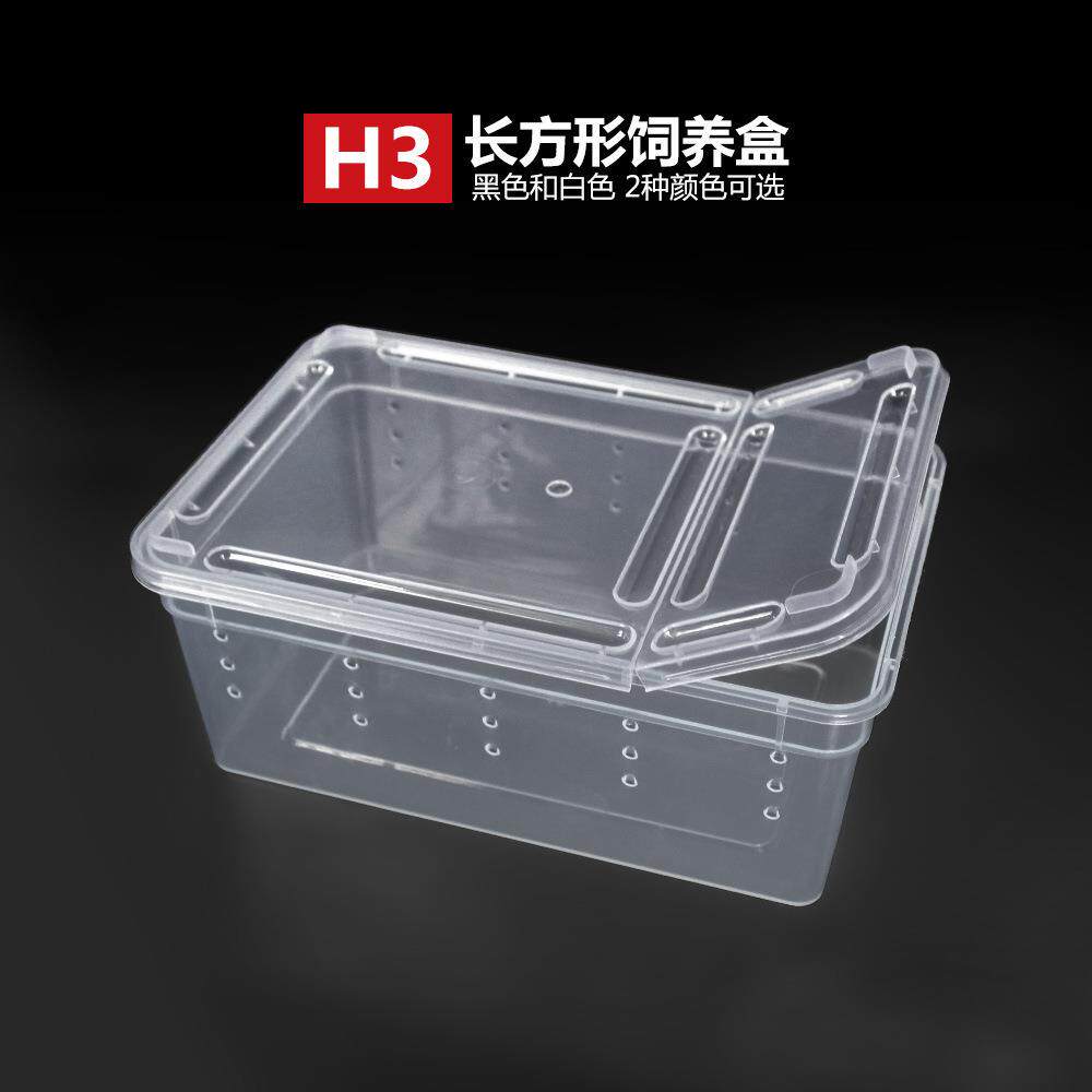 直销新款跨境透明塑料缸蜘蛛守宫寄居蟹蚕宝宝蝎子角蛙昆虫爬虫饲