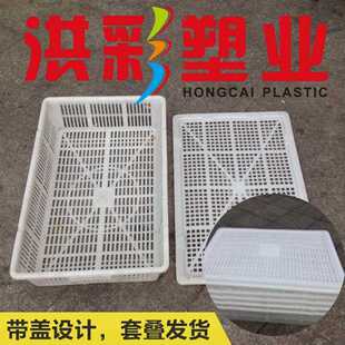 长方形大号塑料周转箱网眼白色海鲜虾姑养殖箱可套叠加厚 直销新款