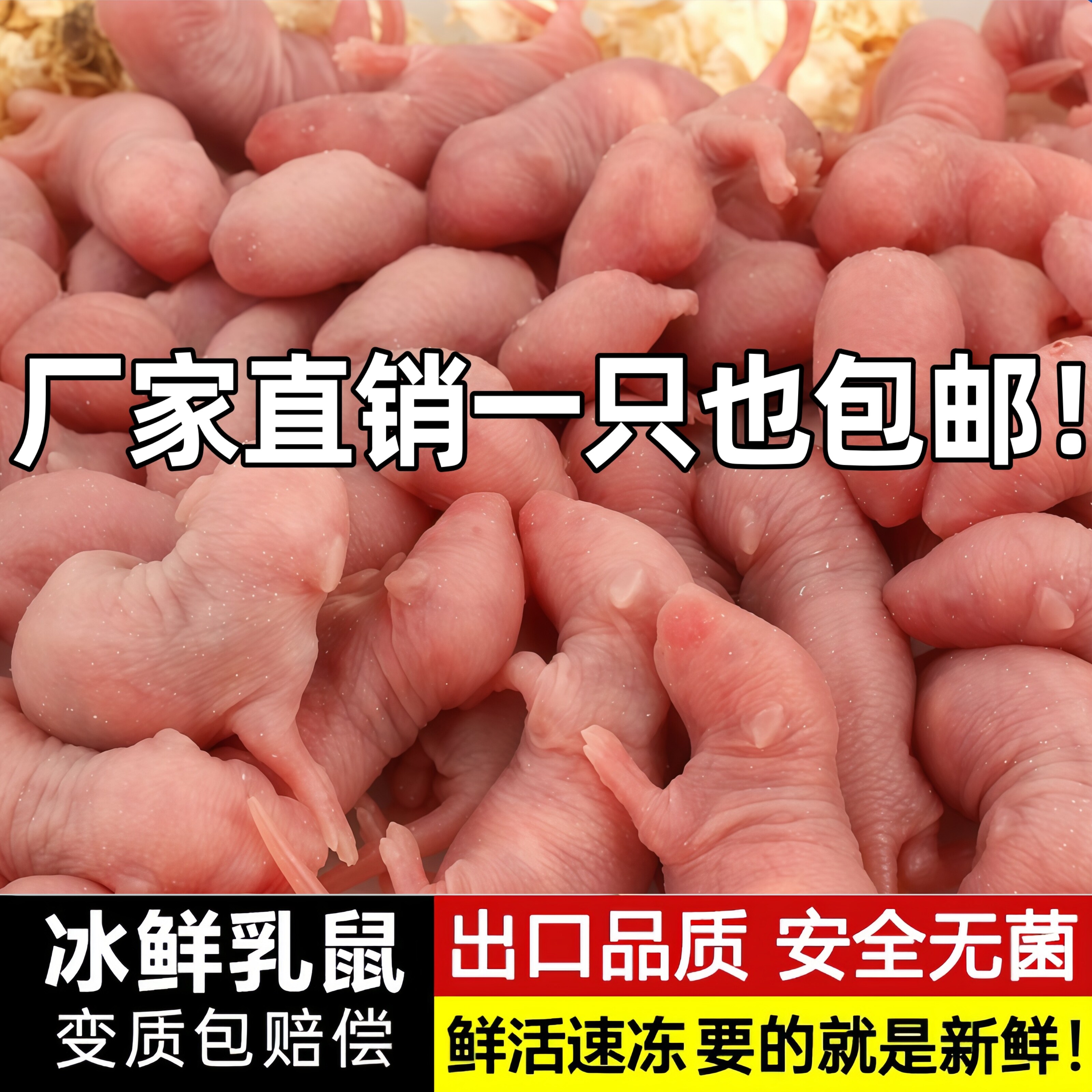 乳鼠粮冻红皮冰冻鼠小白鼠粉皮喂爬虫/鸣虫食物