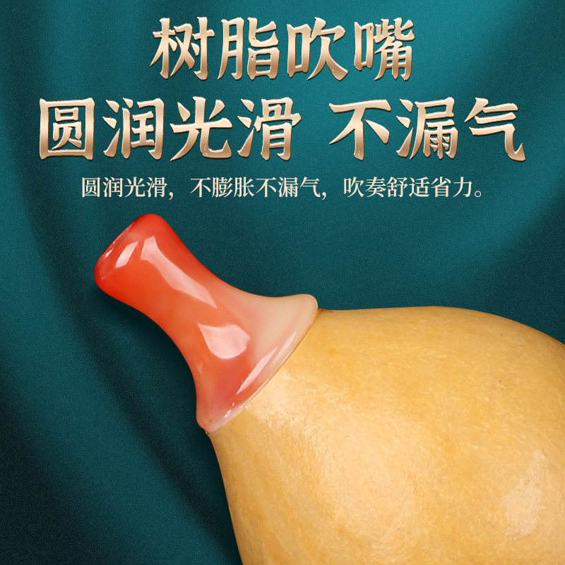 葫芦丝乐器C调学生初学专用降B儿童成人专业演奏型防摔紫竹葫芦丝