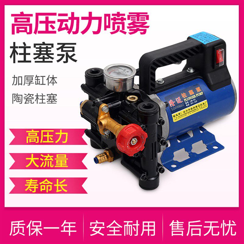 农用12V高压水泵 自吸式柱塞水泵 洗车打药两用泵 果园灌溉喷洒机