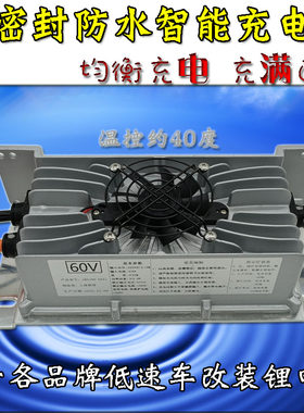 电动汽车轿车三元锂电48V充电器60V充电器磷酸铁锂电池72V充电机