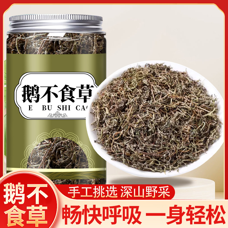 鹅不食草中药材500g苍耳子鹅不食草新鲜野生鹅不吃草粉泡水喝