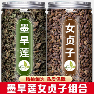 女贞子和墨旱莲养发乌发组合各10克泡茶喝茶包中药材的功效与作用