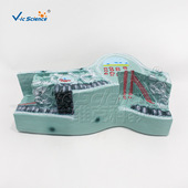 VIC 707叶构造模型 植物细胞结构器