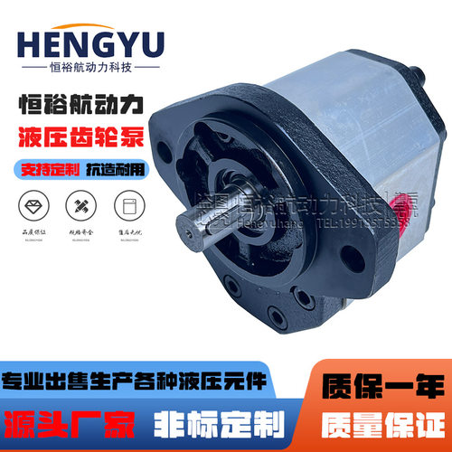 布赫液压泵BUCHER齿轮泵AP300/27/31/38/45/53/63/75D818-FP油泵