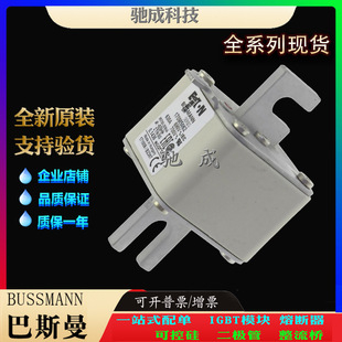 巴斯曼170M5063 170M5064 170M5065 经销批发零售批发 紧凑熔断器