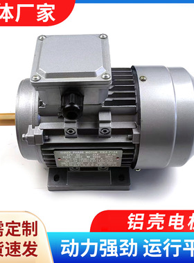 厂家批发180w-4kw三相电机立卧式铝壳电动机2极4极6极
