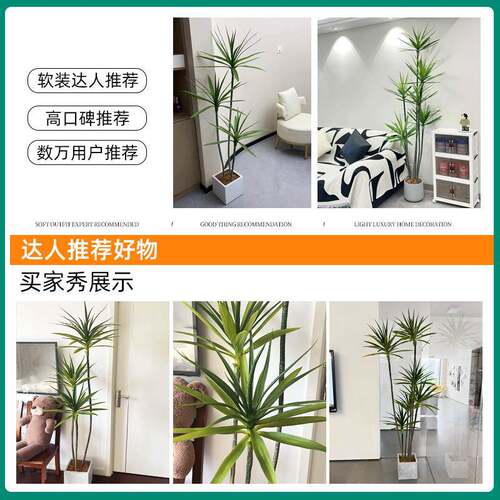 假绿植龙血树轻奢jyj74469仿真植高端室内客装厅物饰落地摆件大花