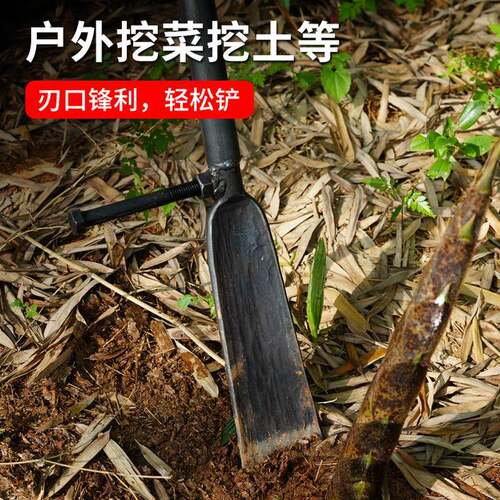 8挖土挖MGB沟锹洛阳锰钢坑洞挖j笋挖洞铲子藕铲锻挖打挖树起苗g3
